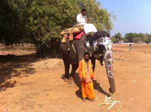 Orangeklädda elefantmän i Anjuna, Goa.