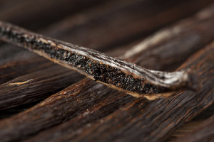 Vanilla